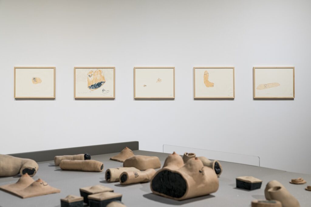 In this installation shot of "E.L.G. Familial Archives”, various ceramic body parts are visible on the table in the foreground while five framed drawings are hung on the wall behind. A different body part and tattoo are depicted in each of the ballpoint pen and crayon drawings. From left to right, these are: a pec with a rose tattoo; a woman's bust with a chili pepper tattoo; an ear and a breast with a swirl and a chili pepper respectively; a bicep with the letters E.L.G. tattooed onto it; and a forearm with a butterfly.