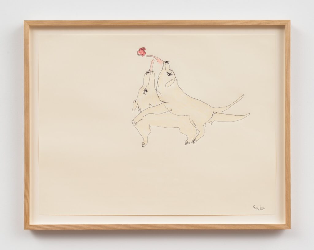 In “Kong Play to the Left”, two blonde English Labrador Retrievers are drawn with thin, continuous black lines and lightly shaded bodies. Both dogs are standing upright on their hind legs, facing each other and to the left. The dog on the left is slightly behind and lower than the dog on the right. Its front legs are draped over the chest of the other dog, as if embracing or humping it. The dog on the right is positioned slightly higher and in front. Its body is arched, and its head is tilted back. Both dogs have their tongues stretched out, trying to lick a red Kong floating in the air above their heads. Their tails are long and pointy, extending out behind them. There is a lot of negative space in the background, making the overall feeling very playful and funny.