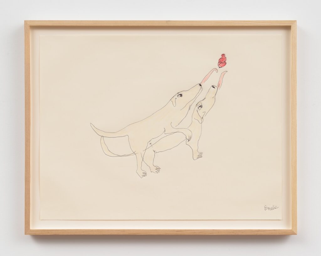 In “Kong Play to the Right”, two blonde English Labrador Retrievers, drawn with thin, continuous black lines, are facing to the right side of the drawing. The dogs are depicted in a playful, alert stance, with their bodies overlapping, as if humping each other. Their heads are tilted upward, and both have their long, pink tongues extended high above their heads, trying to lick a red Kong floating above them, just out of reach. Their tails are stretched out in a curve behind them, making the atmosphere of the drawing very funny and playful.