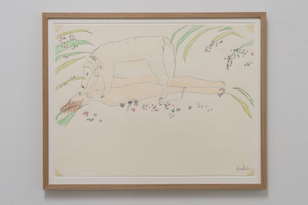 "Me and London Lying in the Flowers" is a colored drawing on white paper slightly larger than a cookie tray. The drawing is framed in oak. The drawing features a naked, peach-skinned Emilie lying on her back, surrounded by a field of green and yellow plant stalks interspersed with blue and purple flowers. London sits on top of Emilie, gazing into her face with black, long-lashed puppy dog eyes.