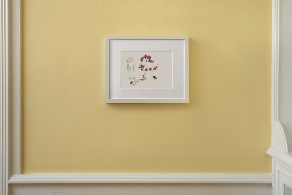 In this image, a landscape drawing, called “Santa Barbara Orchids” is in a white wooden frame hanging on a light yellow wall. It is a colorful drawing with pink and yellow flowers arranged in a curving arch around the paper. At the base of the flower’s stems are creepy crawlies coming out from underneath, like a snake, spiders and beetles.