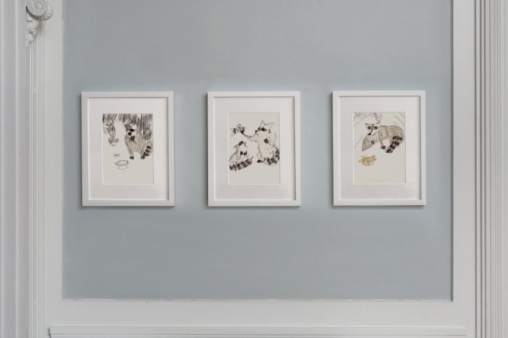 In this image, 3 vertical drawings in white wooden frames hang on a blue wall. The first drawing on the left, is called, “Raccoon with Moths and Bowl”. At the bottom right side of the drawing, a raccoon sits up on her hind legs, with her bushy grey and black tail curled up around her side. She has her hands clasped together in front of her chest, as she gazes down towards a silver dog bowl to her left. Flying up above her head, are a bunch of brown and orange moths. The background is filled in with sketchy black lines. To the right of this drawing, is, “Raccoons with Moths”. On the right side of this drawing, is a raccoon sitting on her hind legs, with her bushy striped tail curled up around her left side. With her right paw, she reaches up towards a big brown and orange moth flying in the air on the left side of the drawing. At the bottom, is another raccoon crouching down on the ground with his tail curled around in front and covering up most of his body. His nose is pointing up to stare up at the big moth flying over his head. And to the right, is the third drawing, “Raccoon with Nest and Egg”. On the top left side of the paper, a raccoon is lying down with her bushy tail curled up in front of her body. She appears to be emerging from tall blades of grass, as she reaches out with her left paw to pick up a light blue robins egg from a nest in the middle of the drawing.