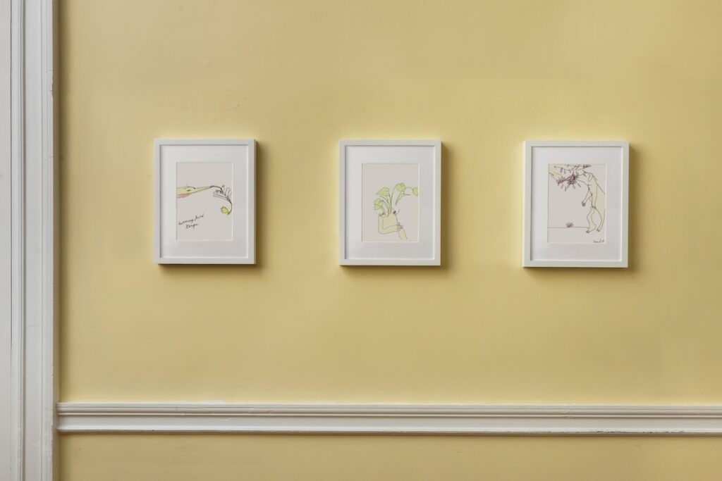 In this image, 3 drawings in white wooden frames hang on a light yellow wall. On the left, is a landscape drawing called, “Hummingbird Tongue”. Here, a blue green humming bird with a red chin pokes its beak and long tongue curling into a trumpet shaped flower. The second drawing in the center, is called “Dream of Peace Lily”. This is a vertical drawing of my naked breasts, with a giant peace lily emerging from my torso. And the third drawing on the right, is called “London Sniffs Cherry Blossoms”, where London is standing up on her hind legs to sniff a low hanging tree branch with bright pink cherry blossom leaves.