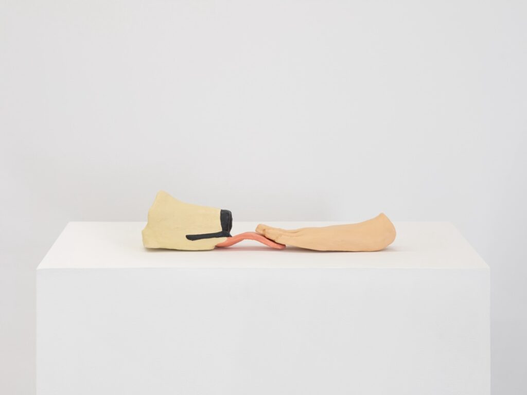 "Fingers and Tongue" is a painted ceramic sculpture made up of two pieces. The leftmost piece is the blond snout of an English Labrador Retriever, with its tongue stuck way out. The piece on the right is a human hand, from the wrist to the finger tips. The two parts face each other and the fingertips rest delicately on top of the extended tongue.