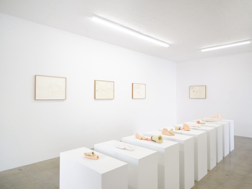 Installation shot of "Votives". A line of white, rectangular plinths rises up and to the right away from the bottom left corner. Behind the plinths, four framed drawings hang on the wall. Each plinth has a single sculpture on it and only a few inches separate one plinth from the next.