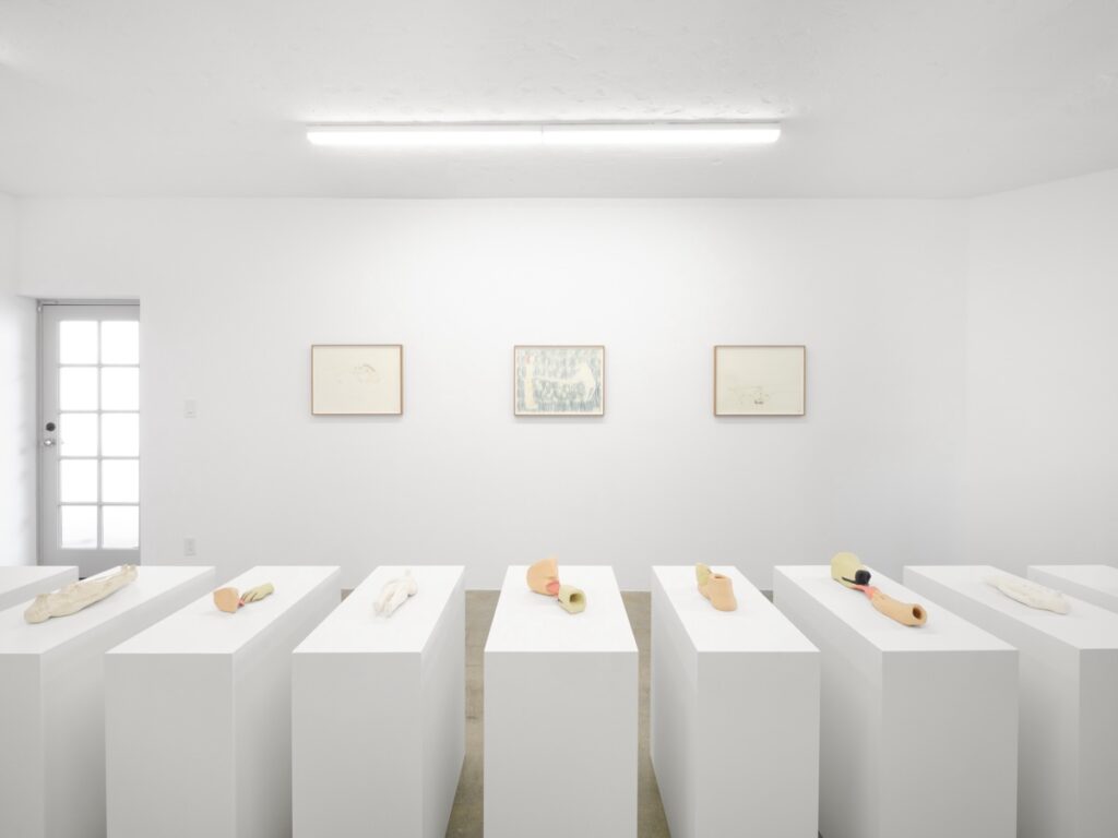 Installation shot of "Votives". A row of white, rectangular plinths stretch from left to right across the bottom third of the image. Behind them, a trio framed drawings hang on the wall. Each plinth has a single sculpture on it and only a few inches separate one plinth from the next.