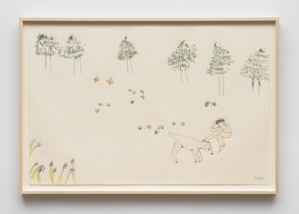 A minimalist drawing in a light wood frame showing a forest scene on cream-colored paper. On the lower right side of the drawing, Emilie is lying down on the forest floor surrounded by light green and yellow clover. One arm bent over their head and the other reaching forward towards London, who is lying down in front of Emilie. Emilie’s hand rests on London’s back. In the background, along the top of the drawing, is a loose row of tall pine trees. Near the bottom left corner, several tall yellow-green grass blades rise from the edge, each topped with a small pink flower. Two orange butterflies with black outlined wings float near the upper center-left area of the paper.