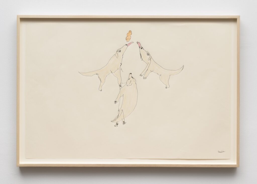 A simple line drawing in a light wooden frame of three Labrador Retrievers drawn with thin black outlines, each with a long tail, short legs, pointed snout, and small triangular ears. The three dogs are arranged in a loose pyramid. The top-left dog stands upright on its back legs with its nose tilted upward. The top-right dog faces it, also with its head raised and a small pink tongue sticking out. Between their snouts and tongue, is a orange kong levitating in the air above them. Below them, the third dog is positioned more vertically, with its body curved like a comma and its head tilted upward toward the other two dogs. All three have small, simple facial features and tiny paws. The background is completely blank, emphasizing the minimal, playful style.